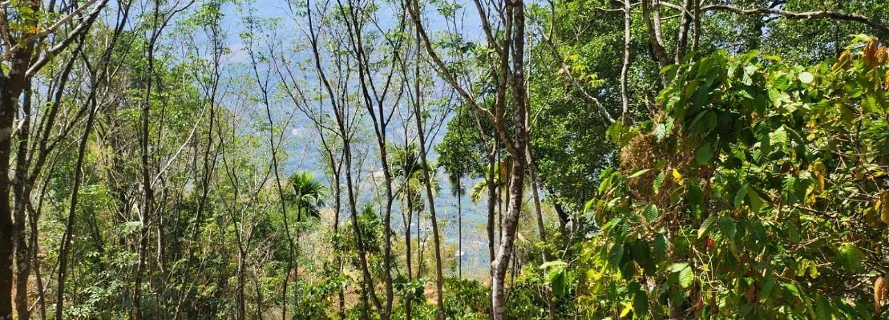Eadhen Villa Kudayattur